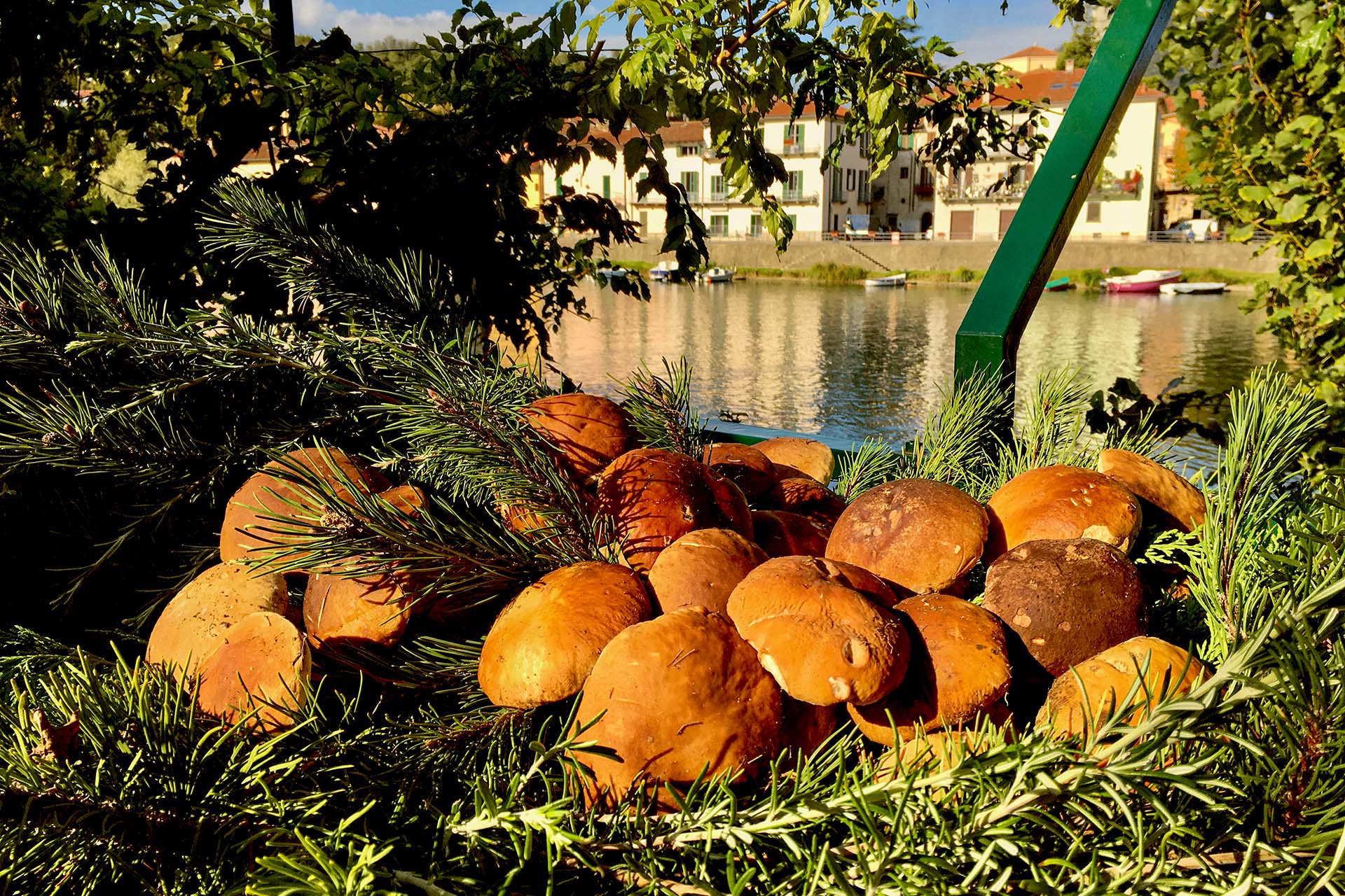 Ristorante La Sosta – Funghi